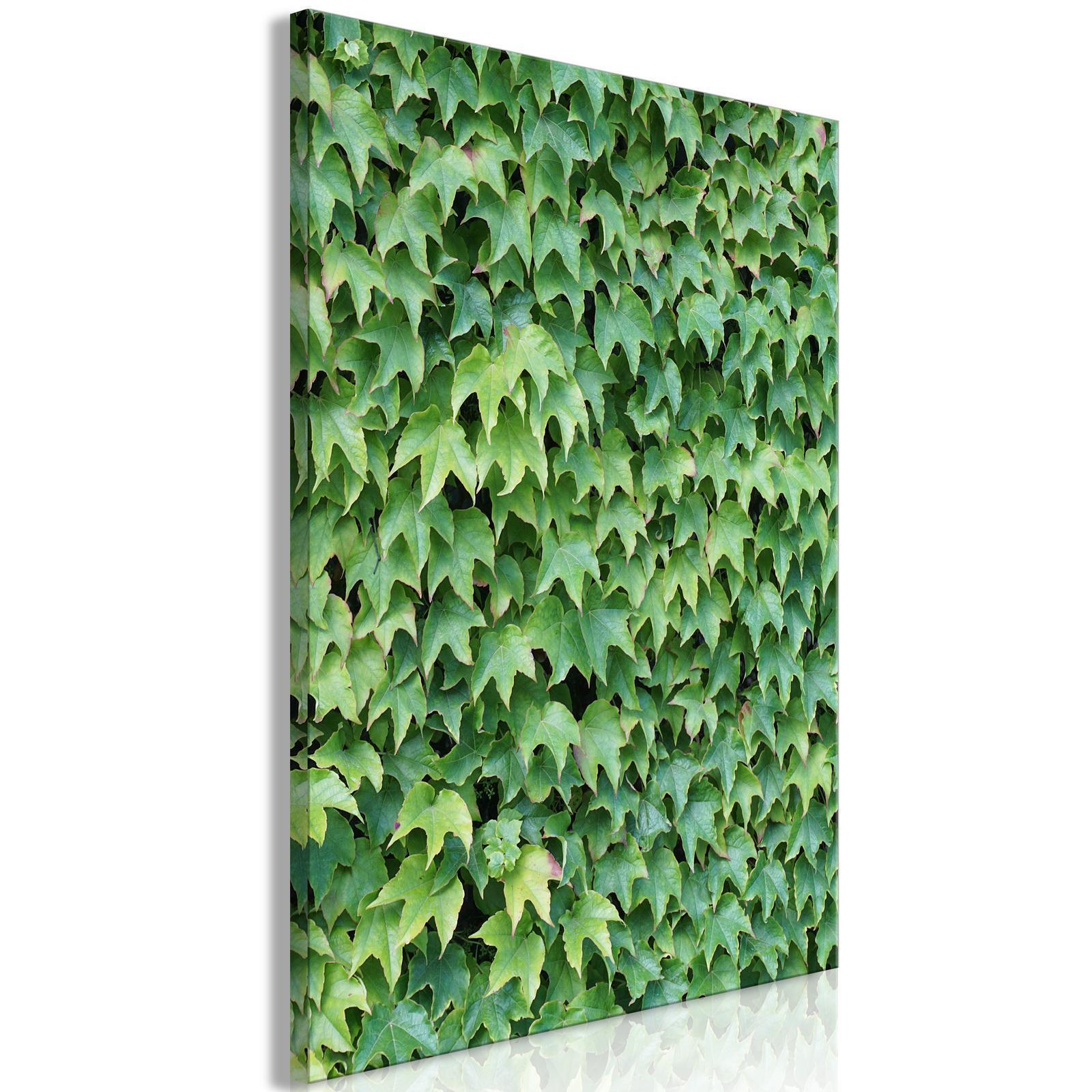 Tableau - Thick Ivy (1 Part) Vertical