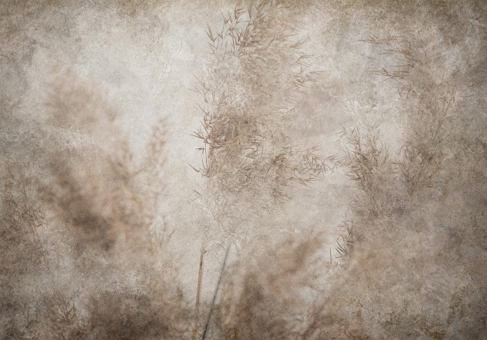 Papier peint - Blown Away by the Wind