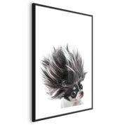 Poster - Chihuahua