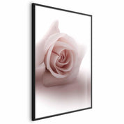 Poster - Rose Shadow