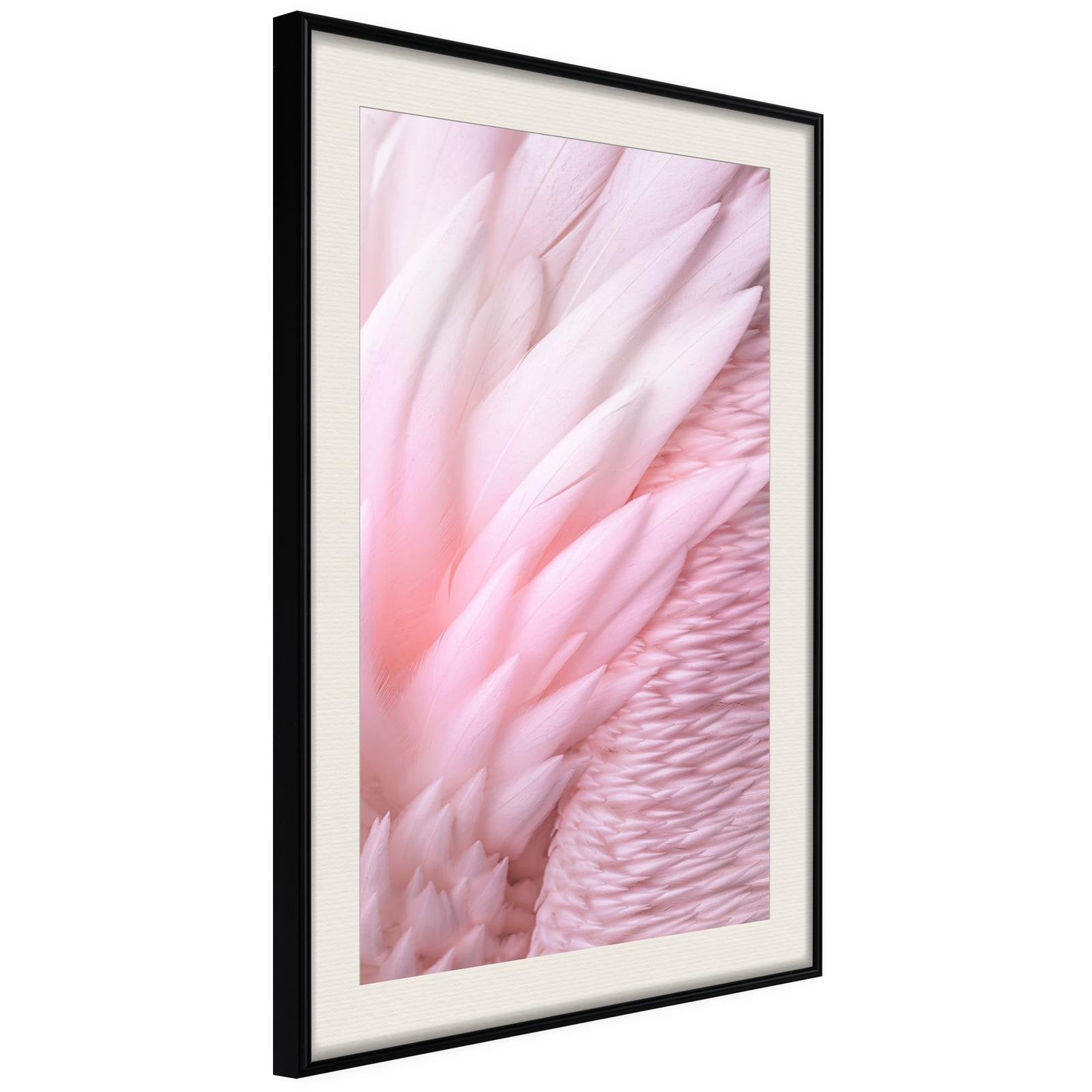 Poster Plume Rose