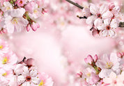 Papier peint - Spring Cherry Blossom