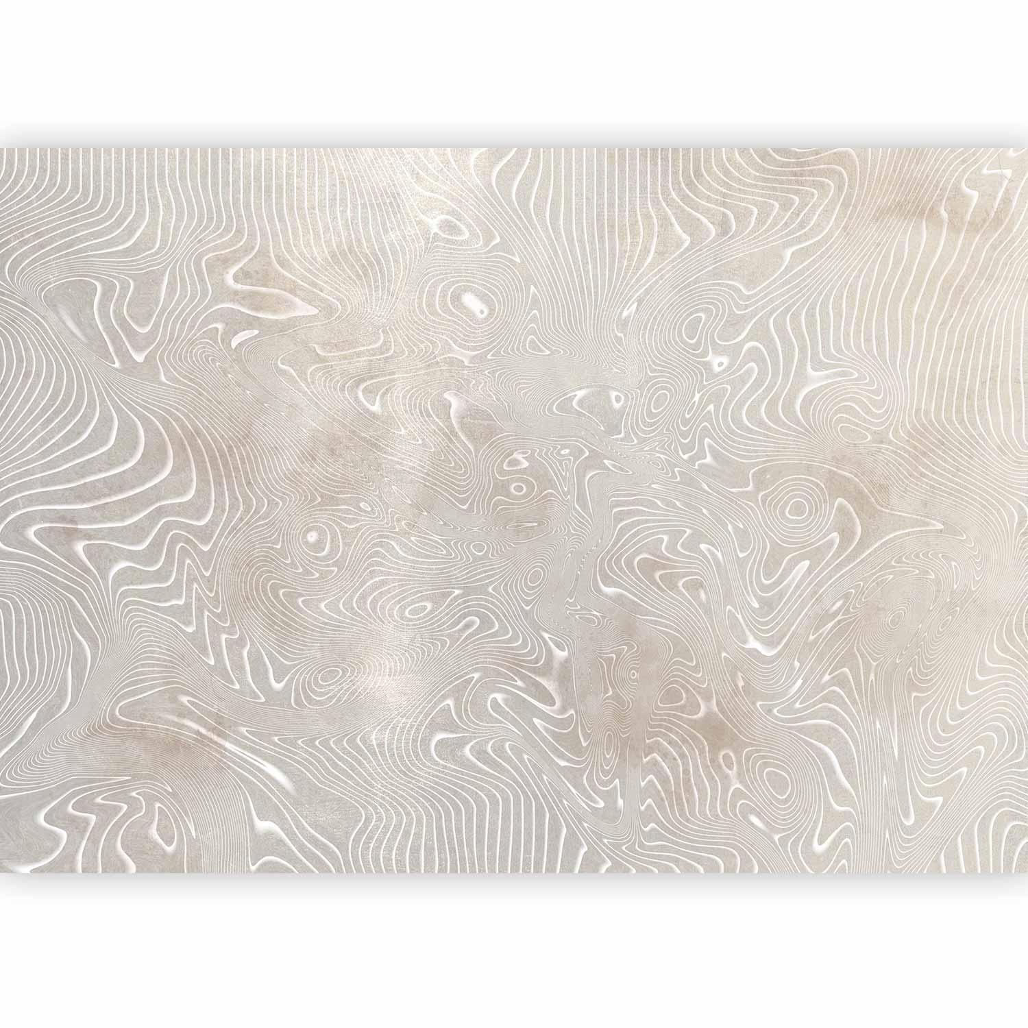 Papier peint - Flowing shapes - abstract beige and white background in patterned compositions