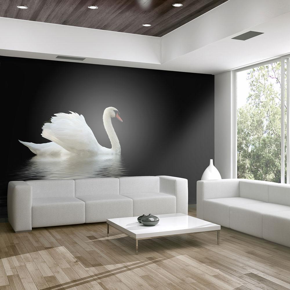 Papier peint - swan (black and white)