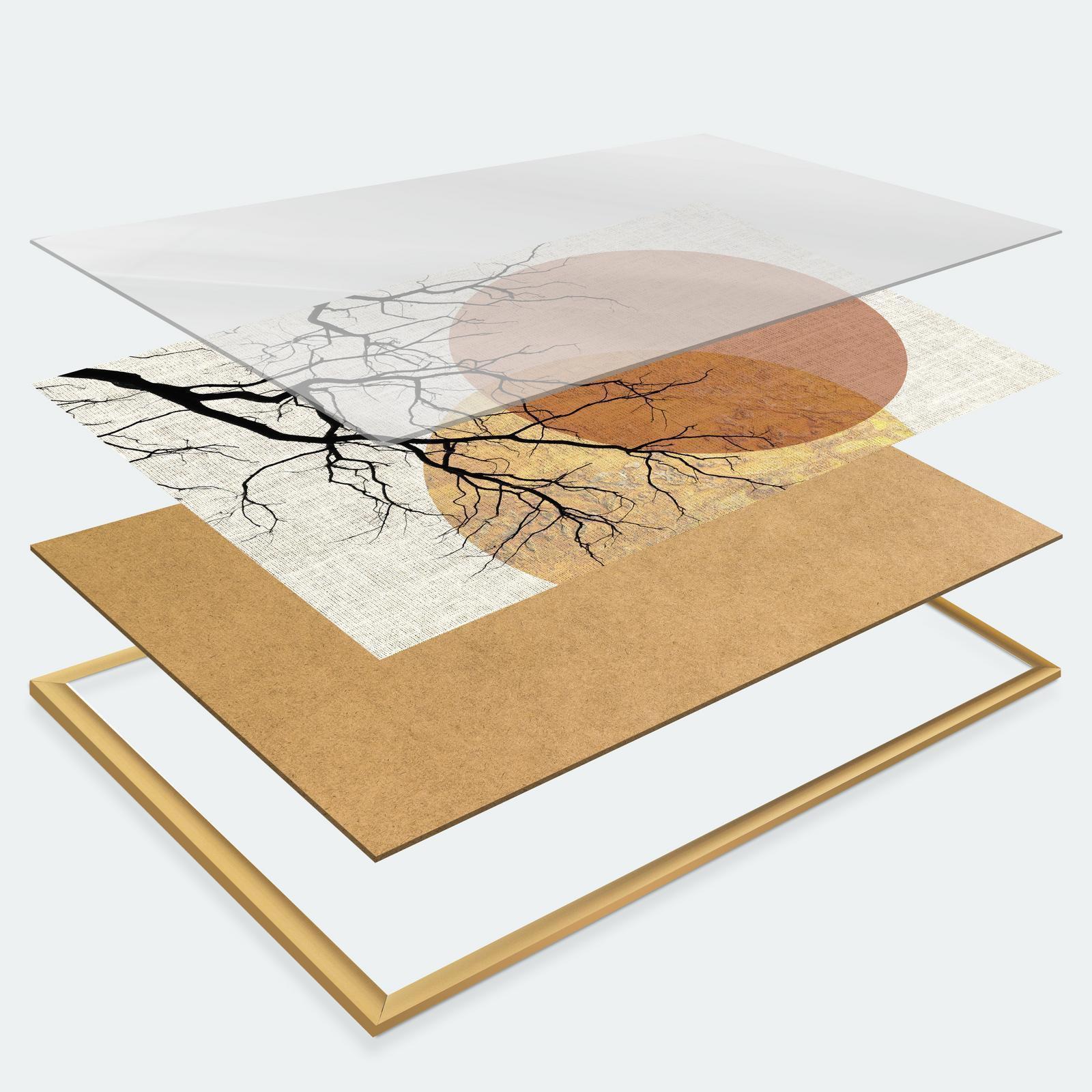Poster - Algae