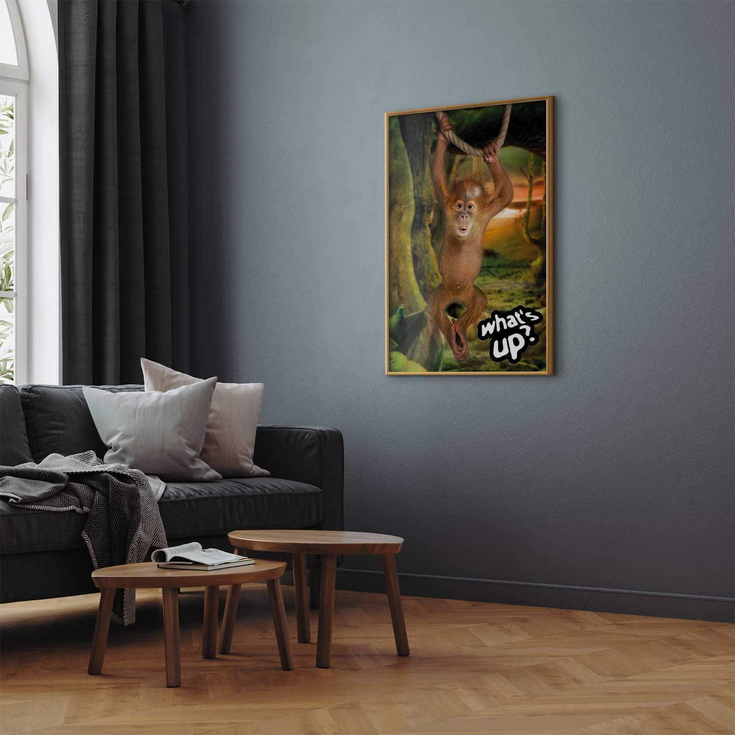 Poster - What's Up?