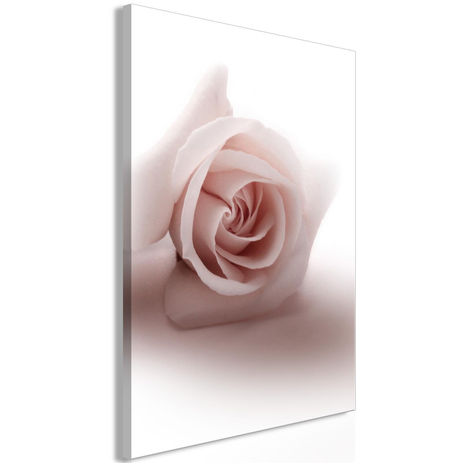 Tableau - Floral Glamour Glow (1-part) - Delicate and Pastel Pink Rose