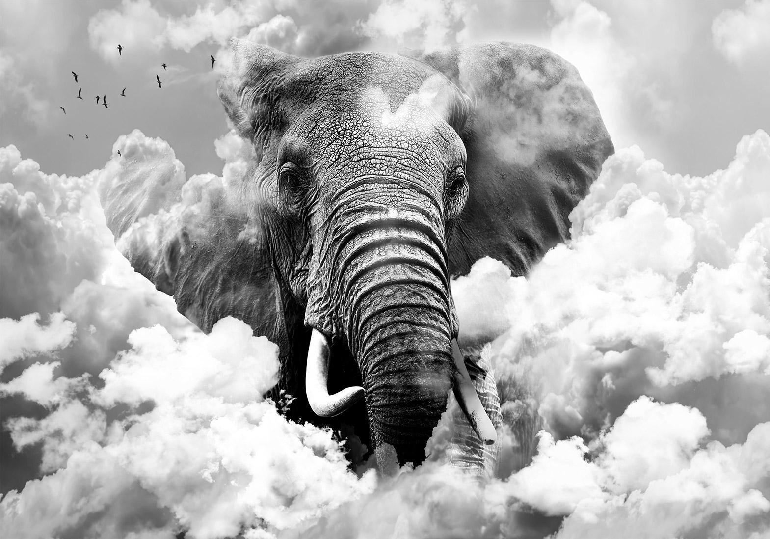 Papier peint - Elephant in the Clouds (Black and White)