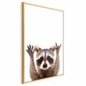 Poster - Raccoon