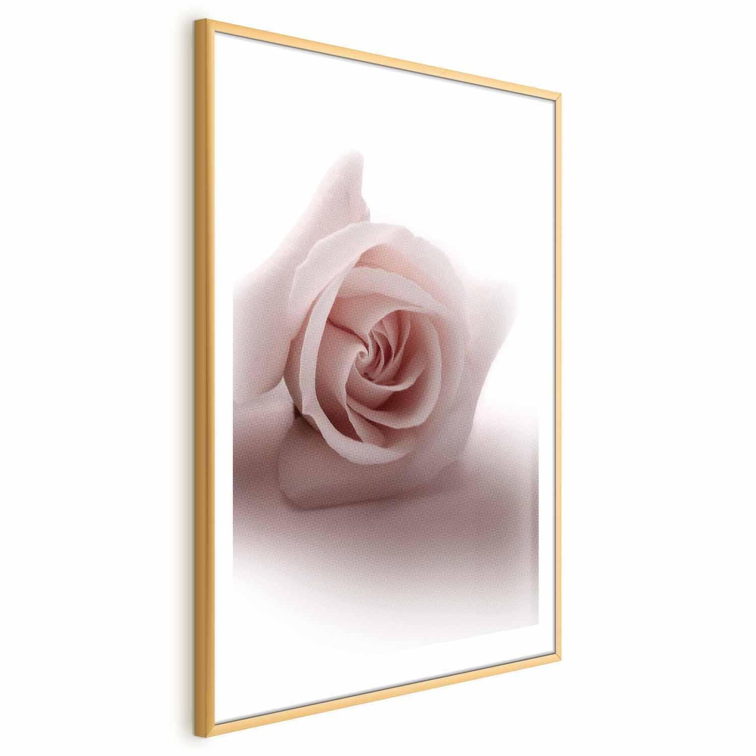 Poster - Rose Shadow