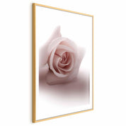 Poster - Rose Shadow