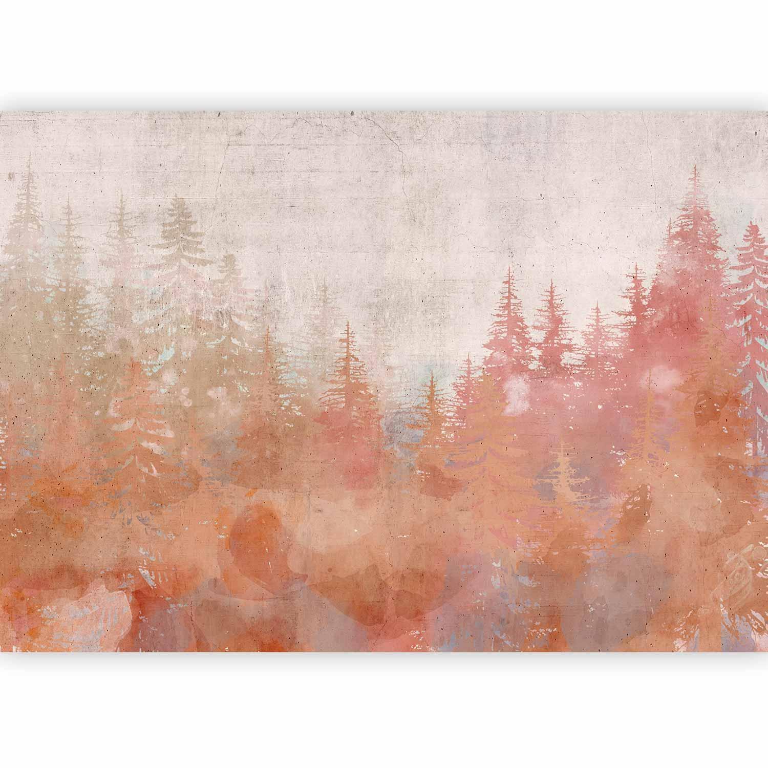 Papier peint - Forest at Sunset