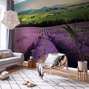 Papier peint - Lavender Field