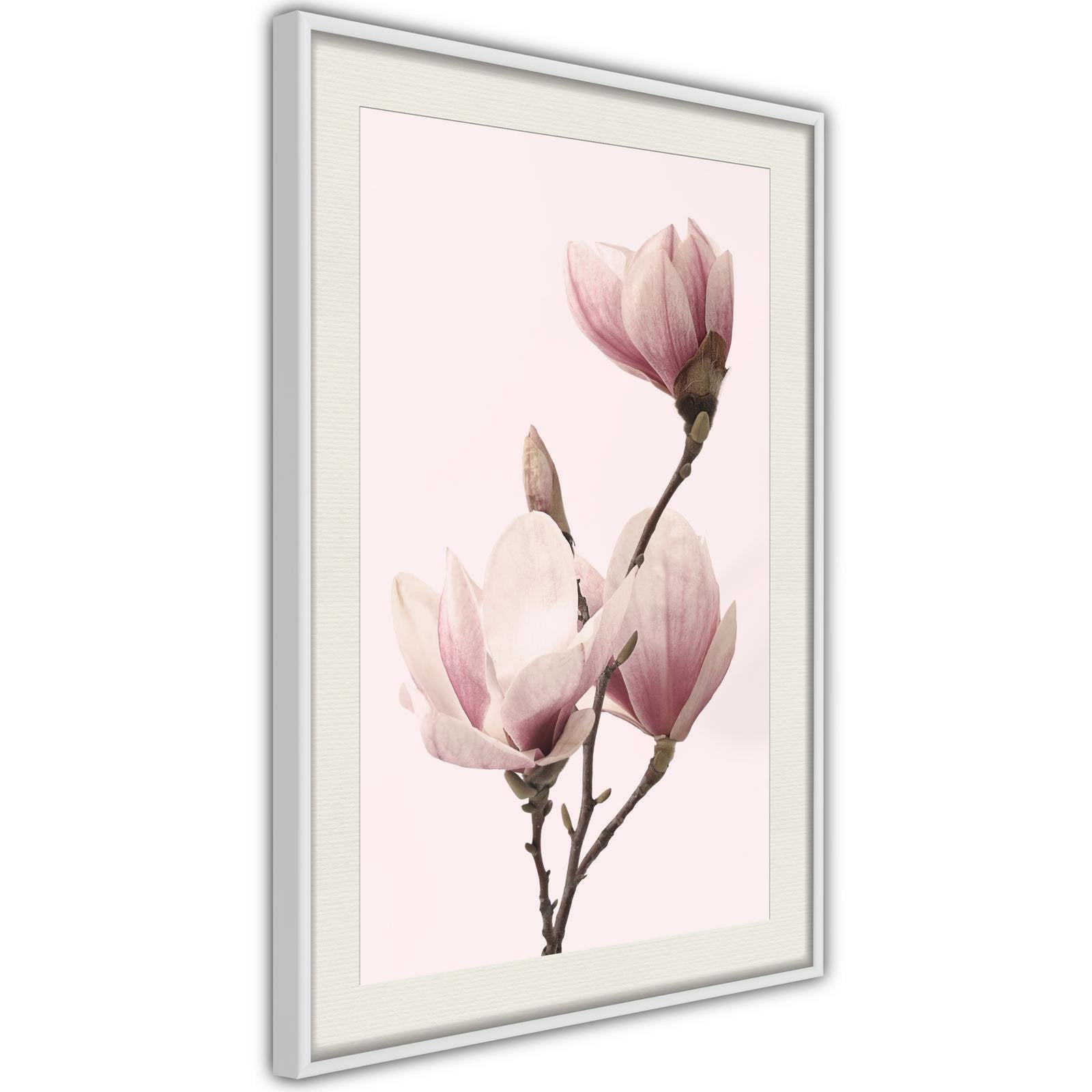 Poster Magnolias en Fleur III