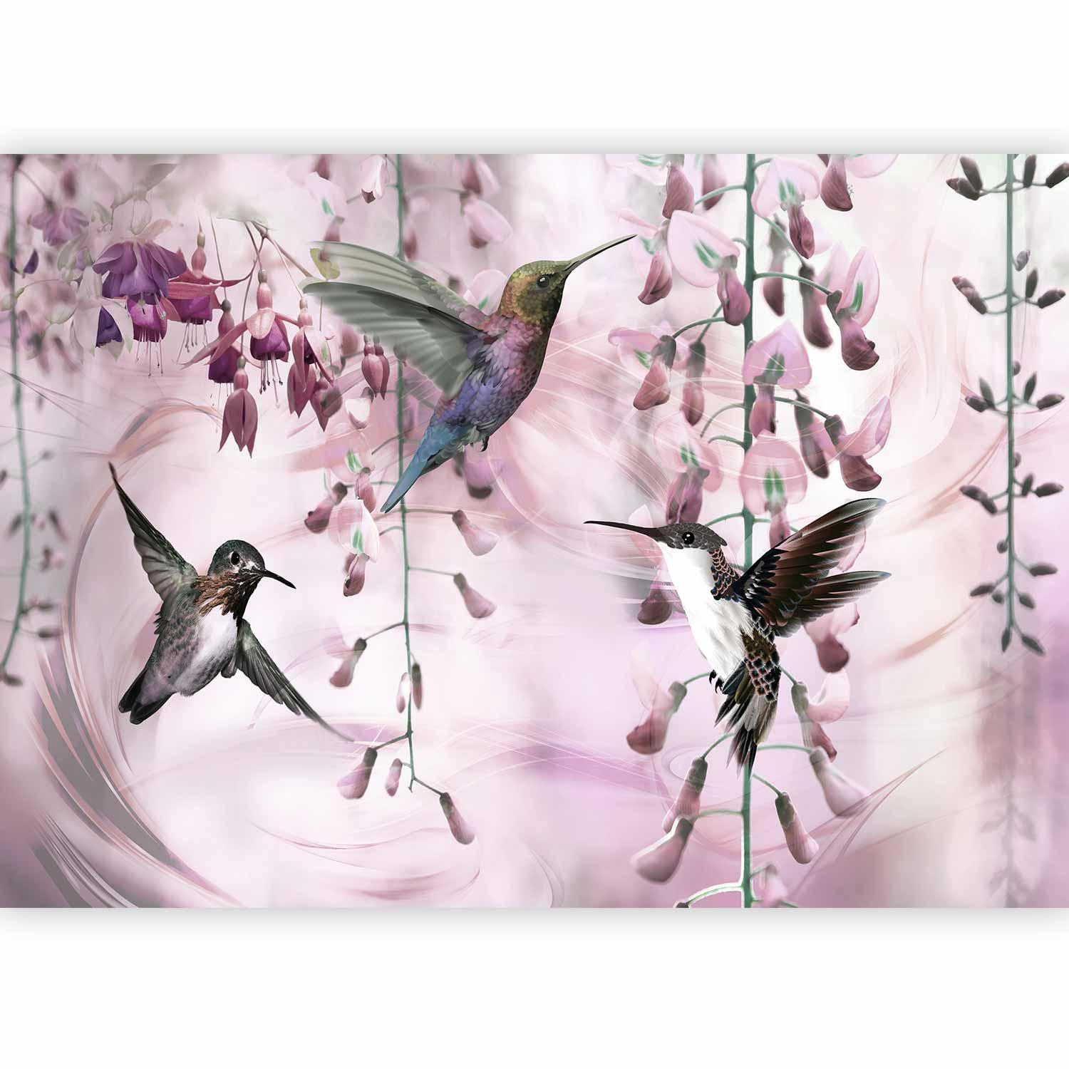 Papier peint - Flying Hummingbirds (Pink)