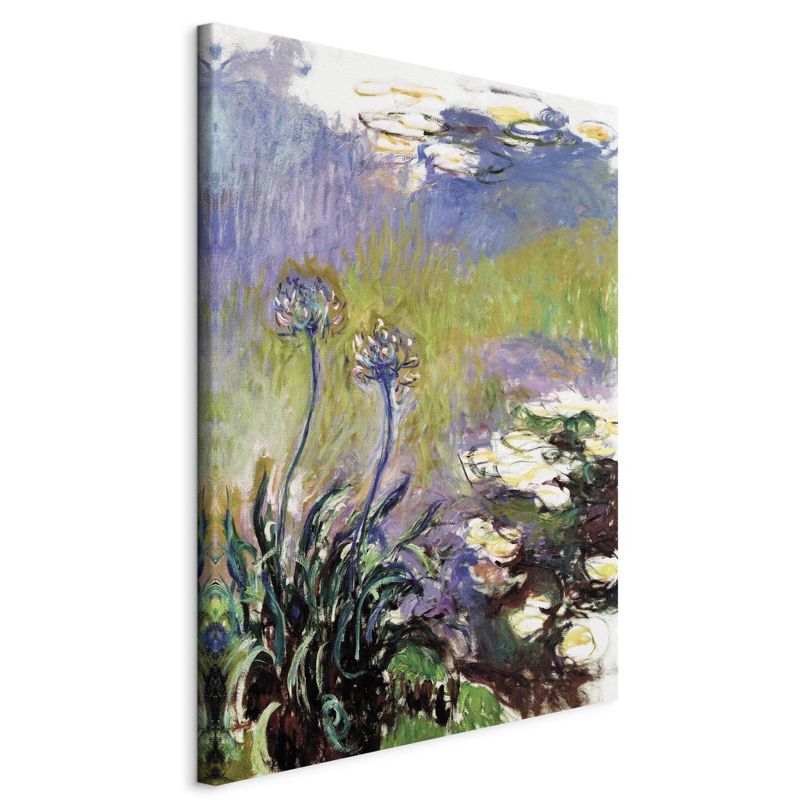 Tableau - Agapanthus