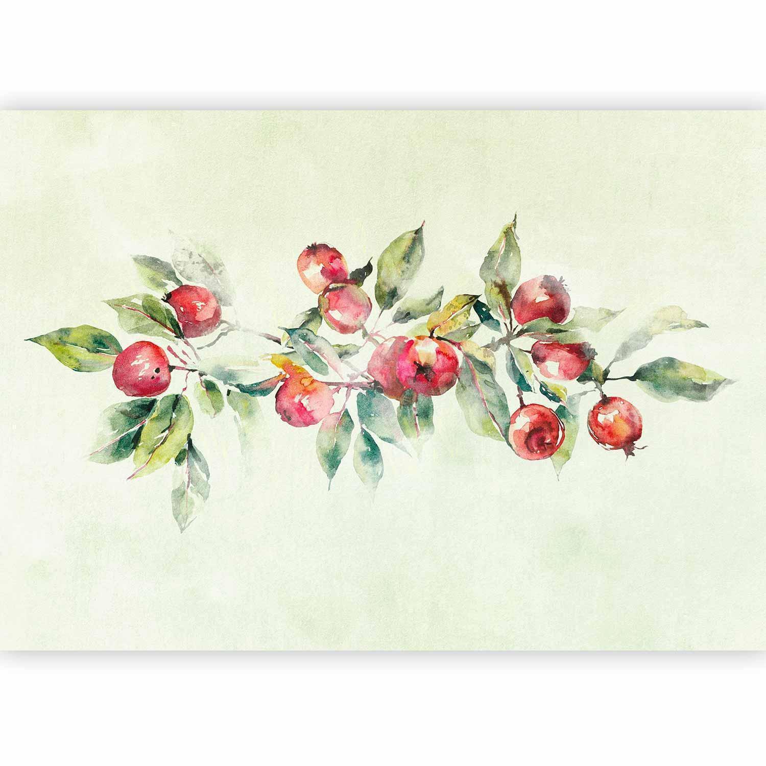 Papier peint - Apple branch - delicate landscape with a plant and apples on a white background