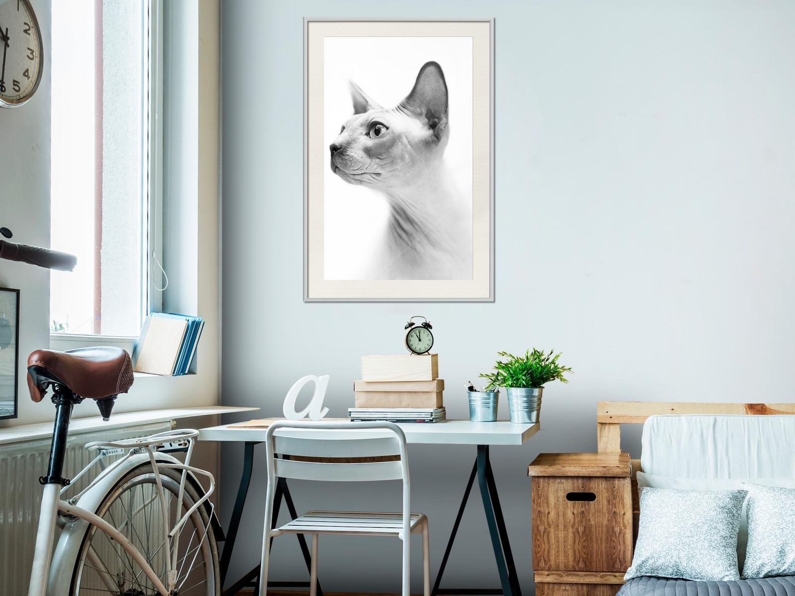 Poster chat Sphynx - Noir et blanc