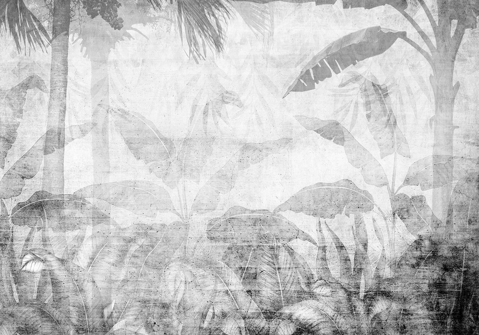 Papier peint - Vanishing jungle - landscape of exotic trees and leaves in grey tones