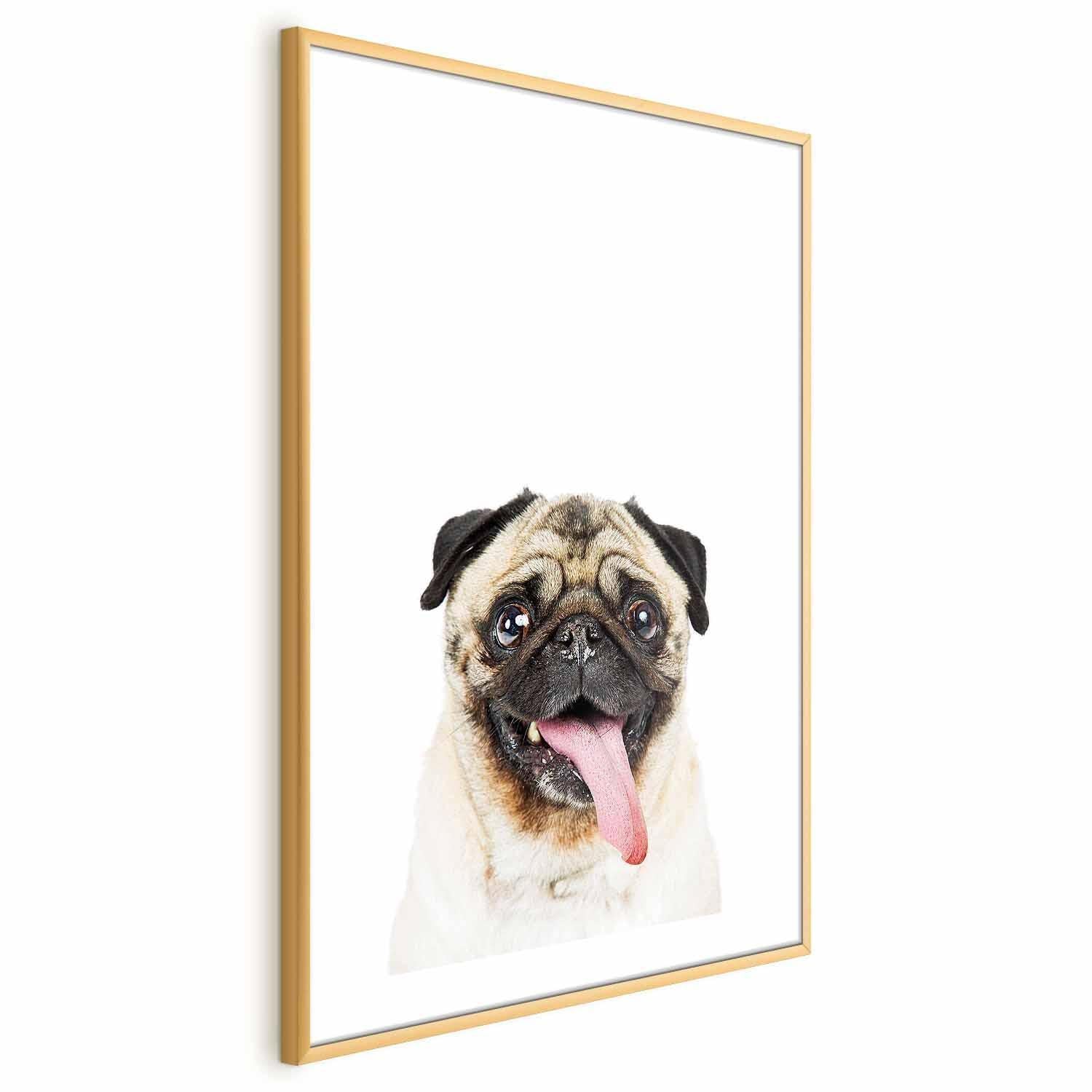 Poster - Pug