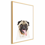 Poster - Pug