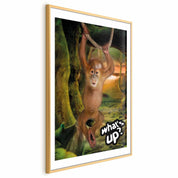 Poster - What's Up?