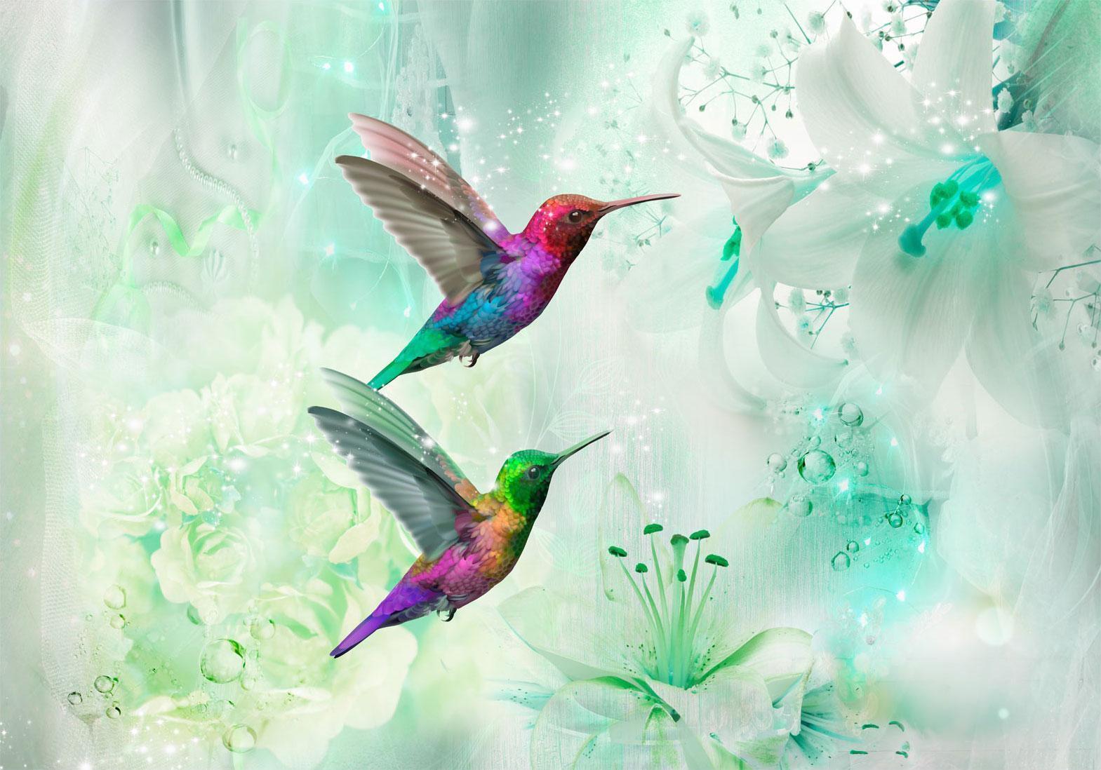 Papier peint - Colourful Hummingbirds (Green)