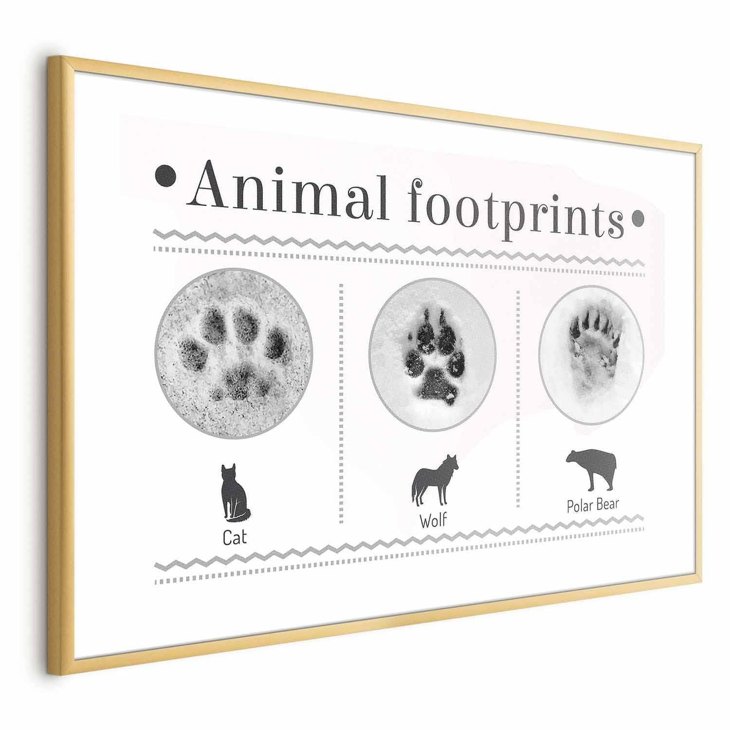 Poster - Paw Prints