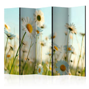 Paravent - Daisies - spring meadow II