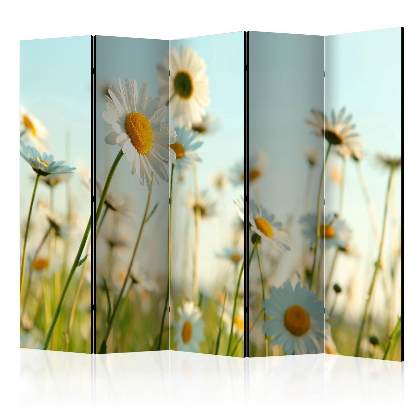 Paravent - Daisies - spring meadow II