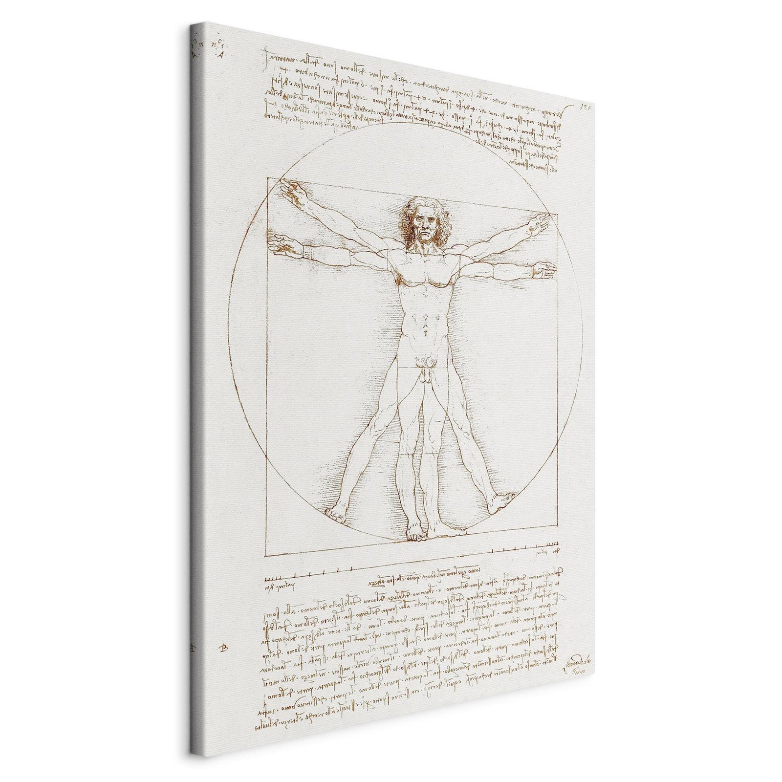 Tableau - Vitruvian Man (Proportions of the human body according to Vitruvius)