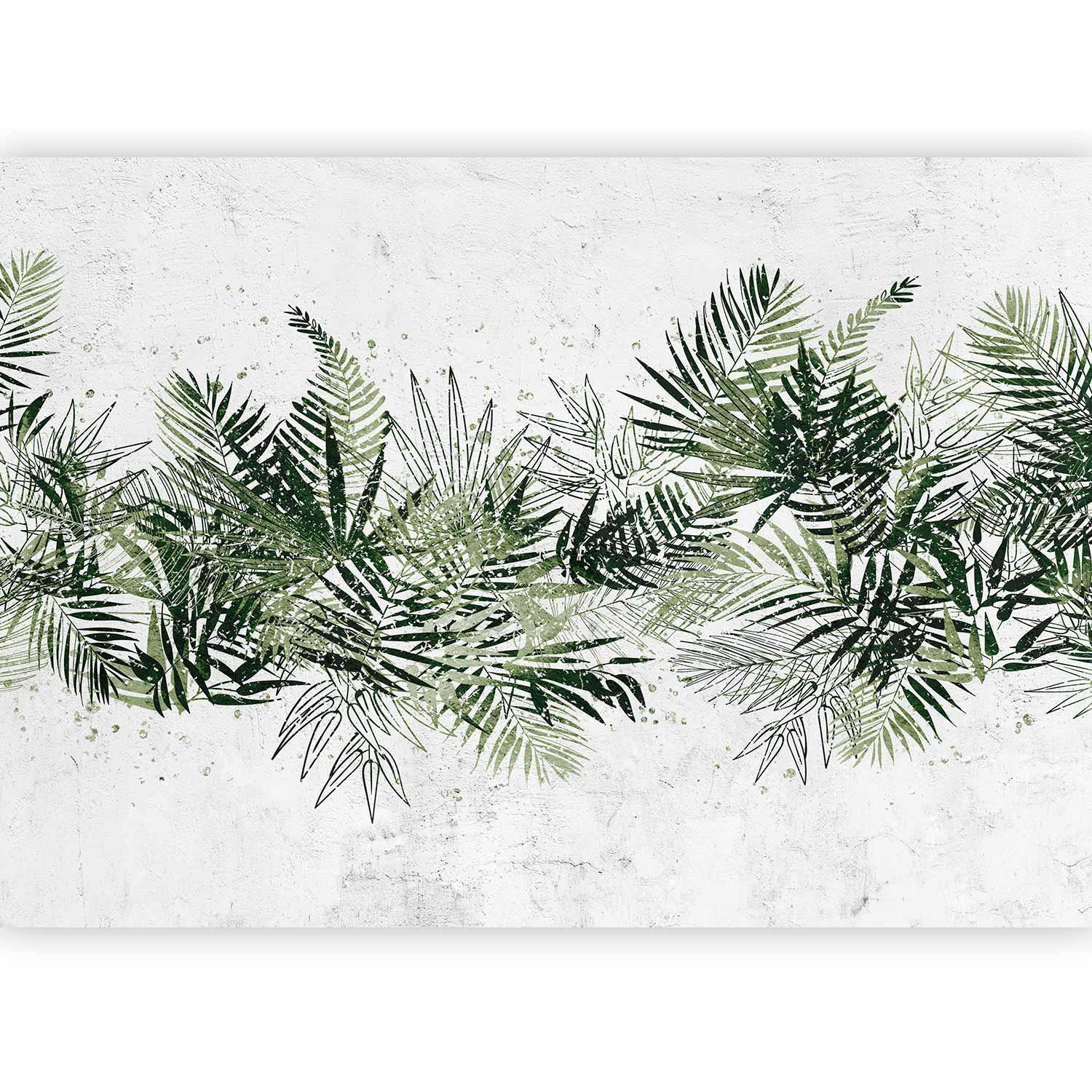 Papier peint - Jungle and green plume - large tropical leaves on a white background