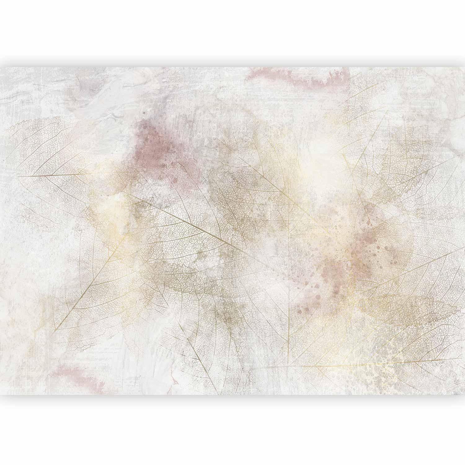 Papier peint - Summer memory - abstract background with shadow of dried leaves