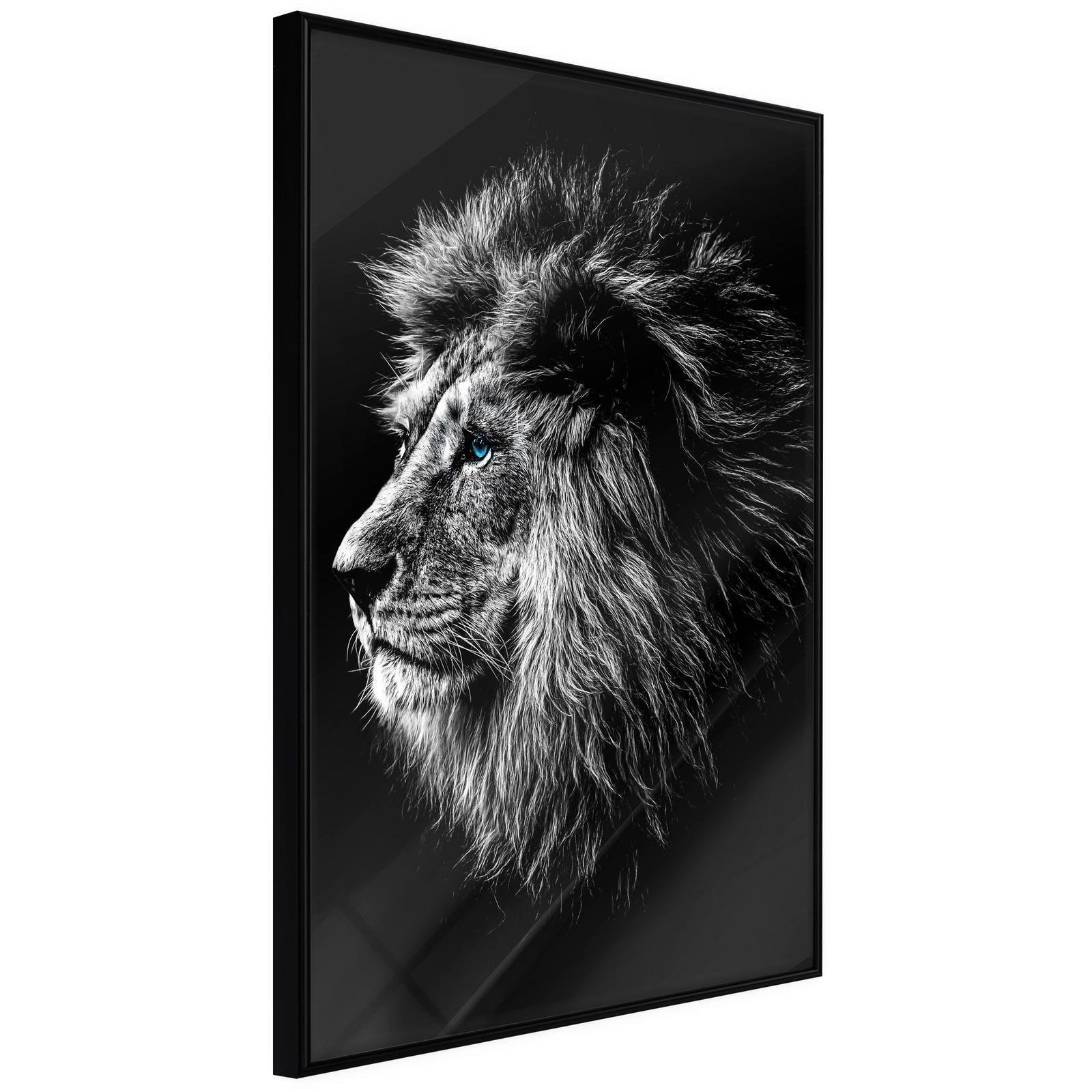 Poster Lion Noir et Blanc