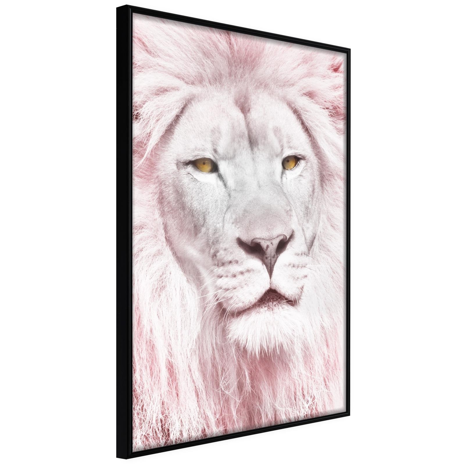 Affiche Lion Rêveur
