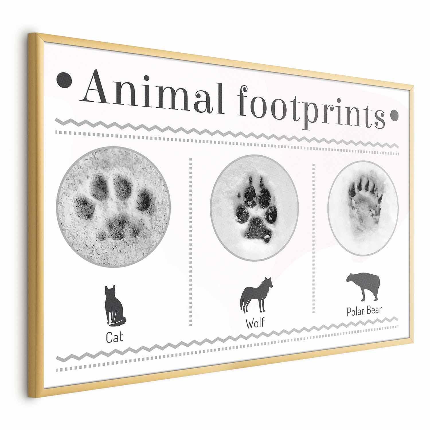 Poster - Paw Prints